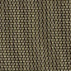 5450 Canvas Lichen